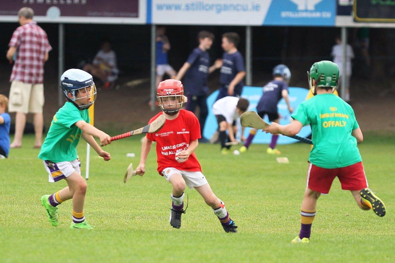 Hurling Mini All Ireland Finals