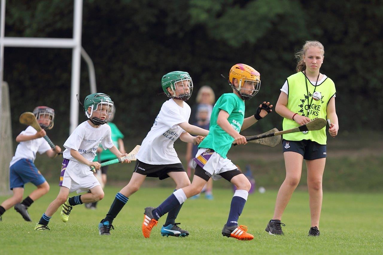 Hurling Mini All Ireland Finals