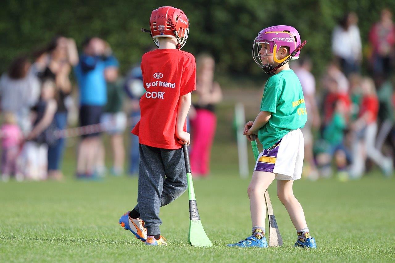 Hurling Mini All Ireland Finals