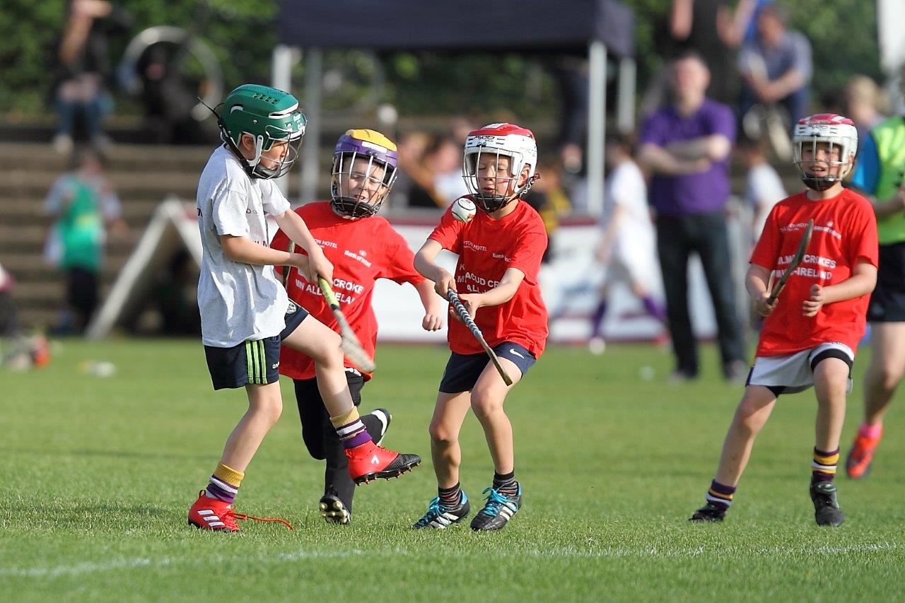 Hurling Mini All Ireland Finals