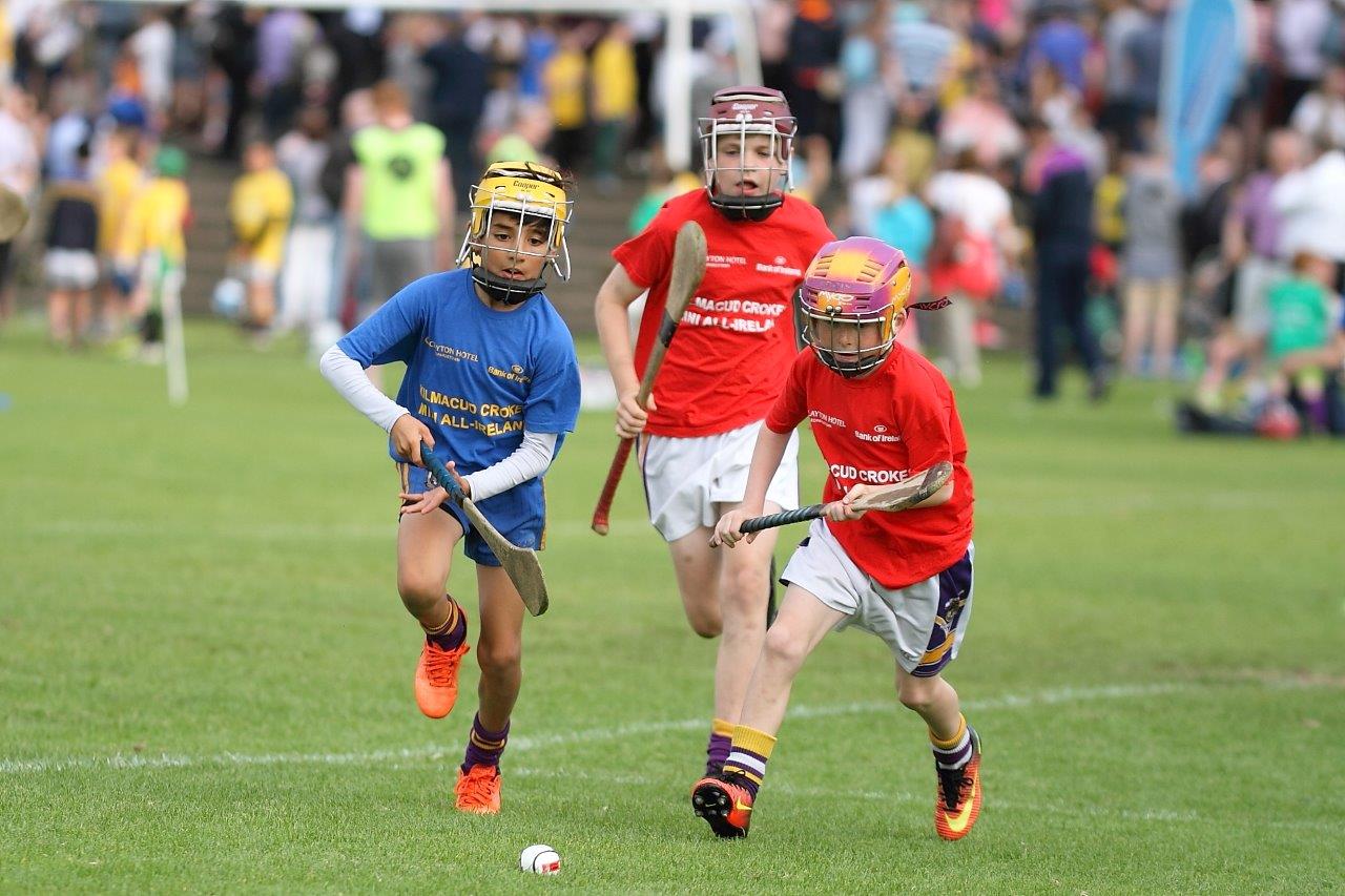 Hurling Mini All Ireland Finals