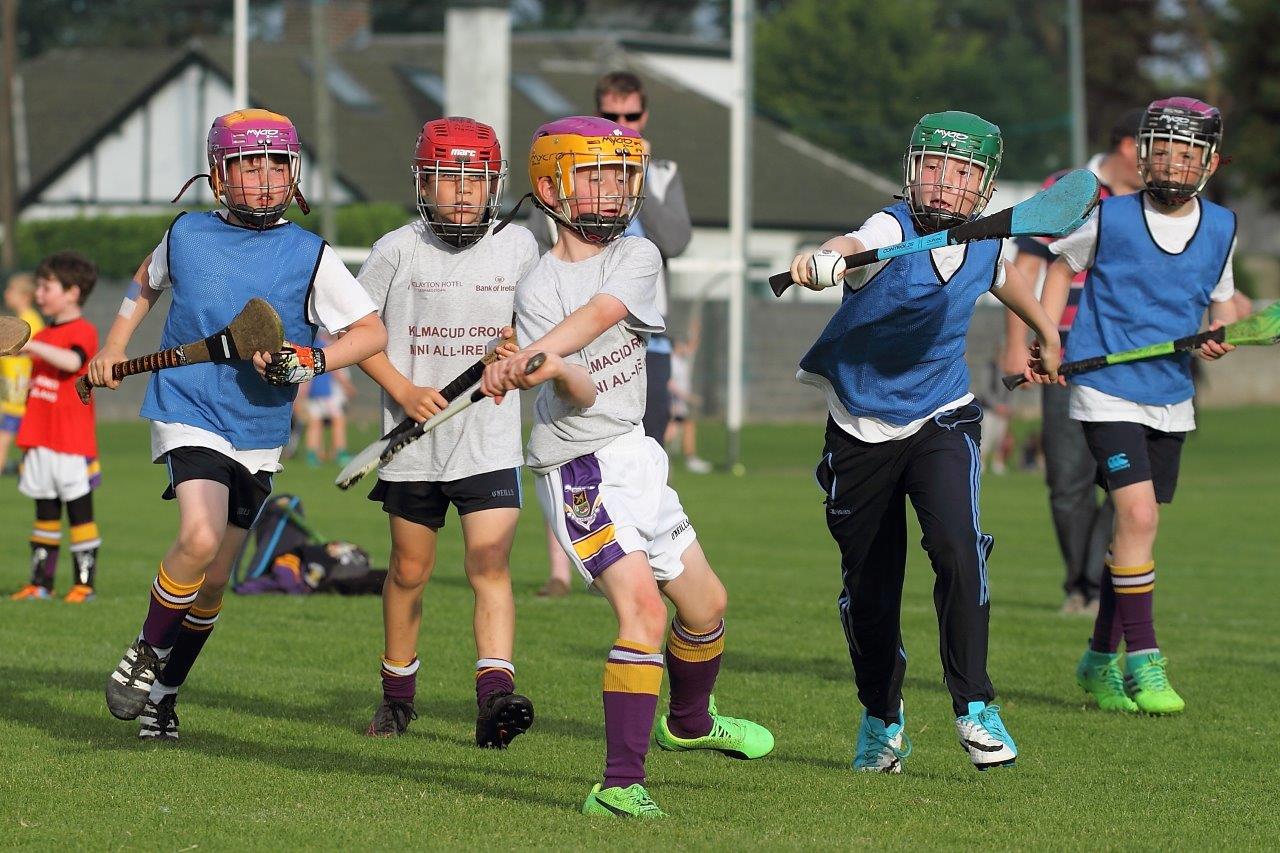 Hurling Mini All Ireland Finals