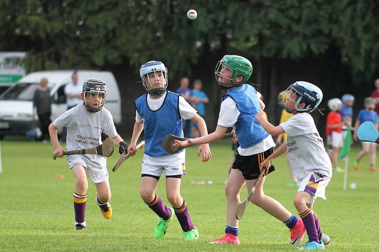 Hurling Mini All Ireland Finals