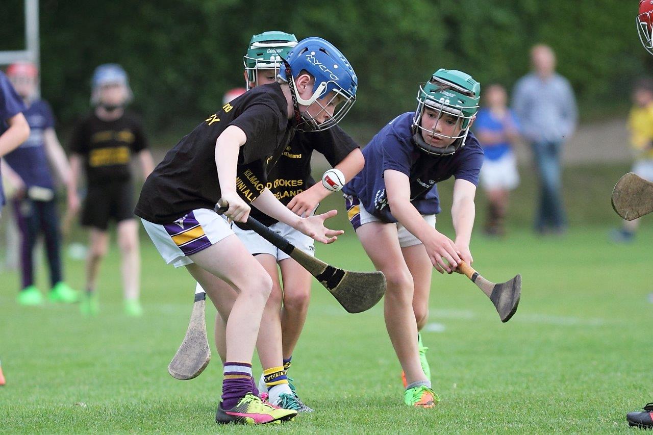 Hurling Mini All Ireland Finals