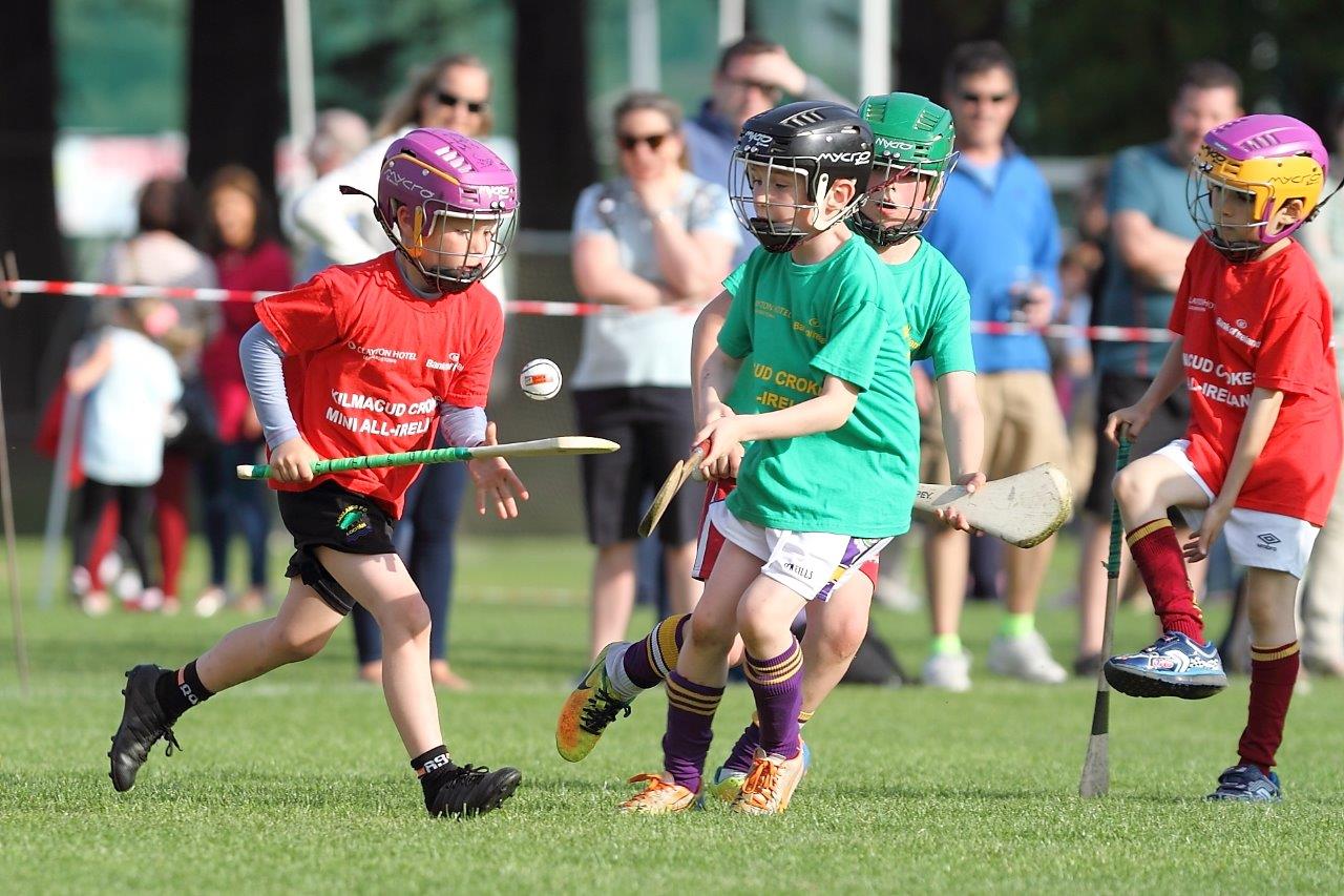 Hurling Mini All Ireland Finals