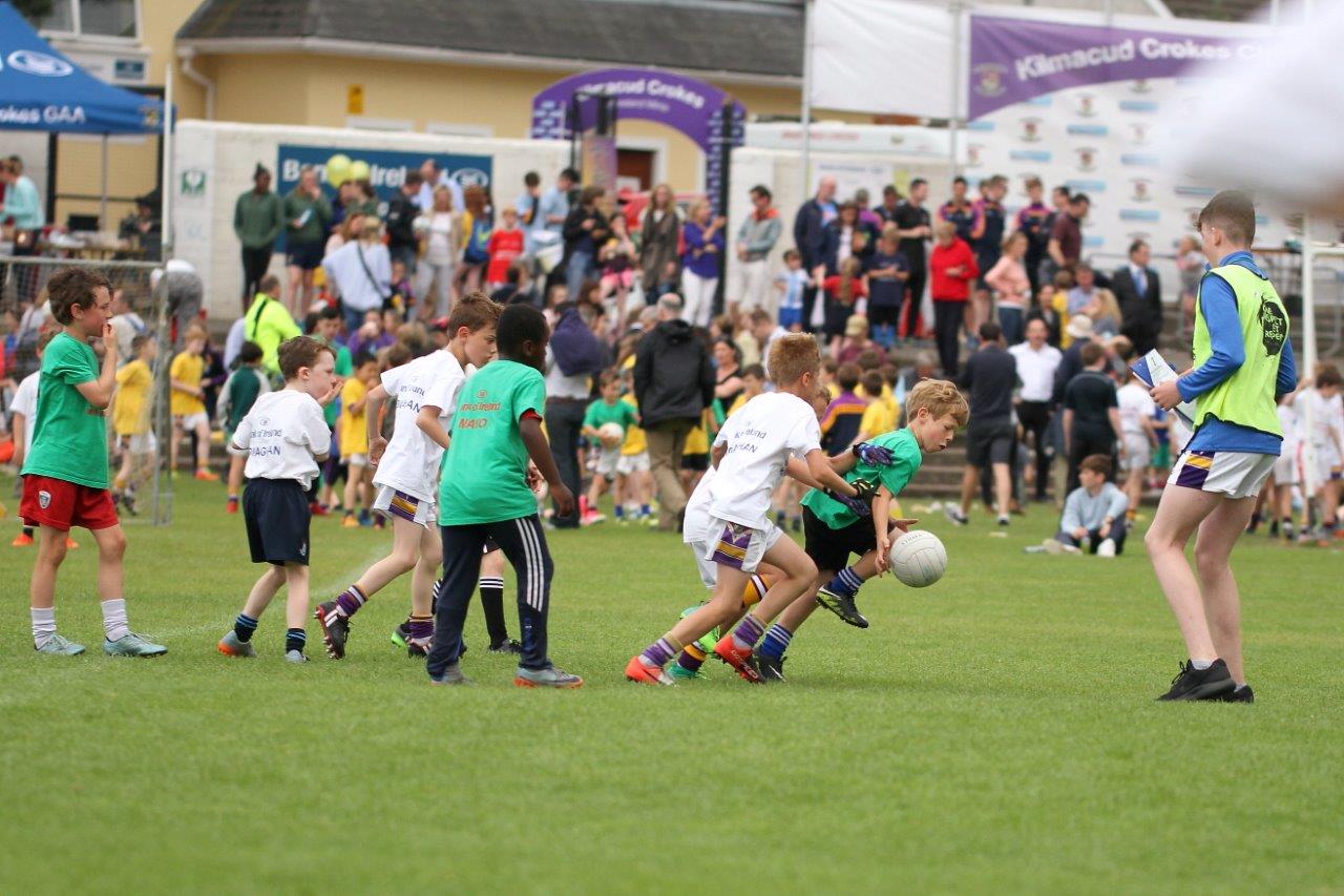 Football Mini All Ireland Finals