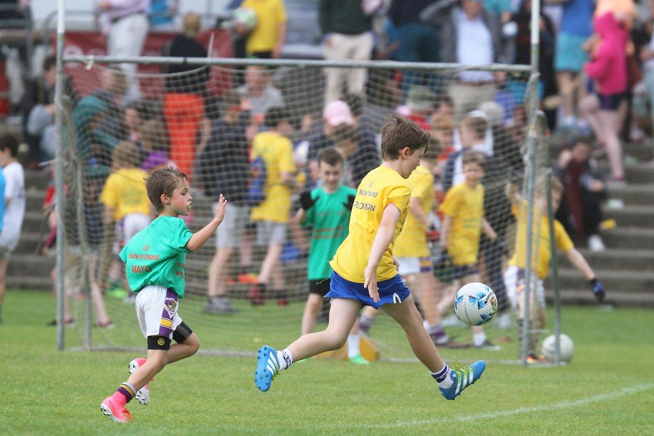 Football Mini All Ireland Finals