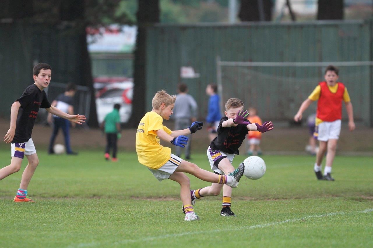 Football Mini All Ireland Finals