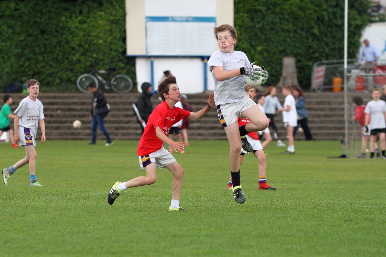 Football Mini All Ireland Finals