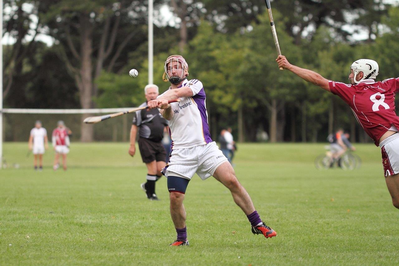 Senior B's beaten in Hurling Championship Quarter Final