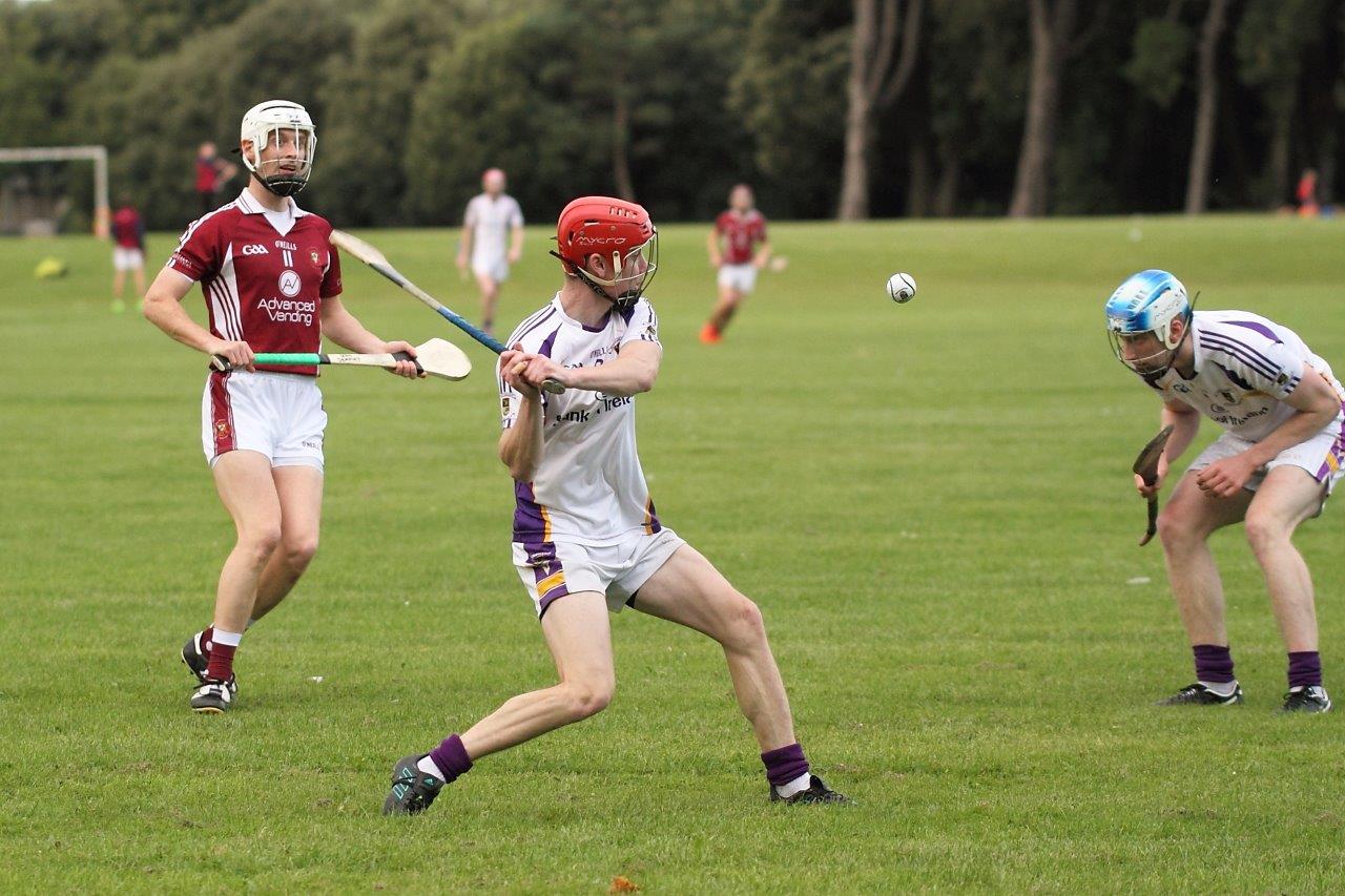 Senior B's beaten in Hurling Championship Quarter Final