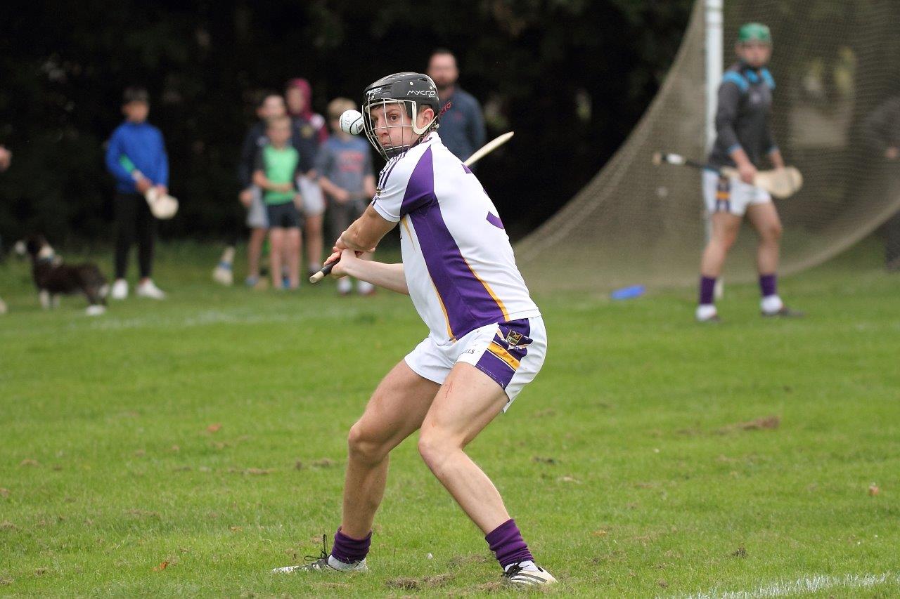 Senior B's beaten in Hurling Championship Quarter Final