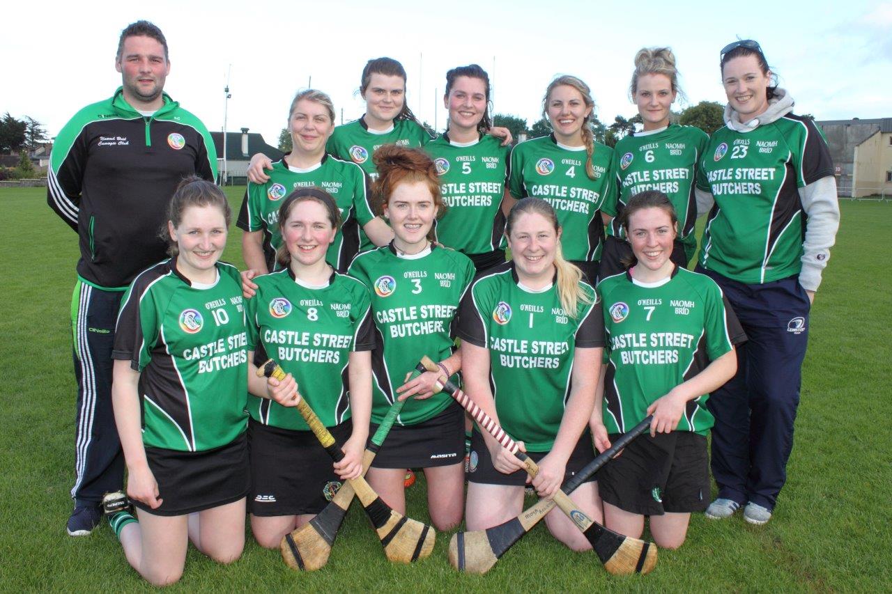 Camogie 7s Teams