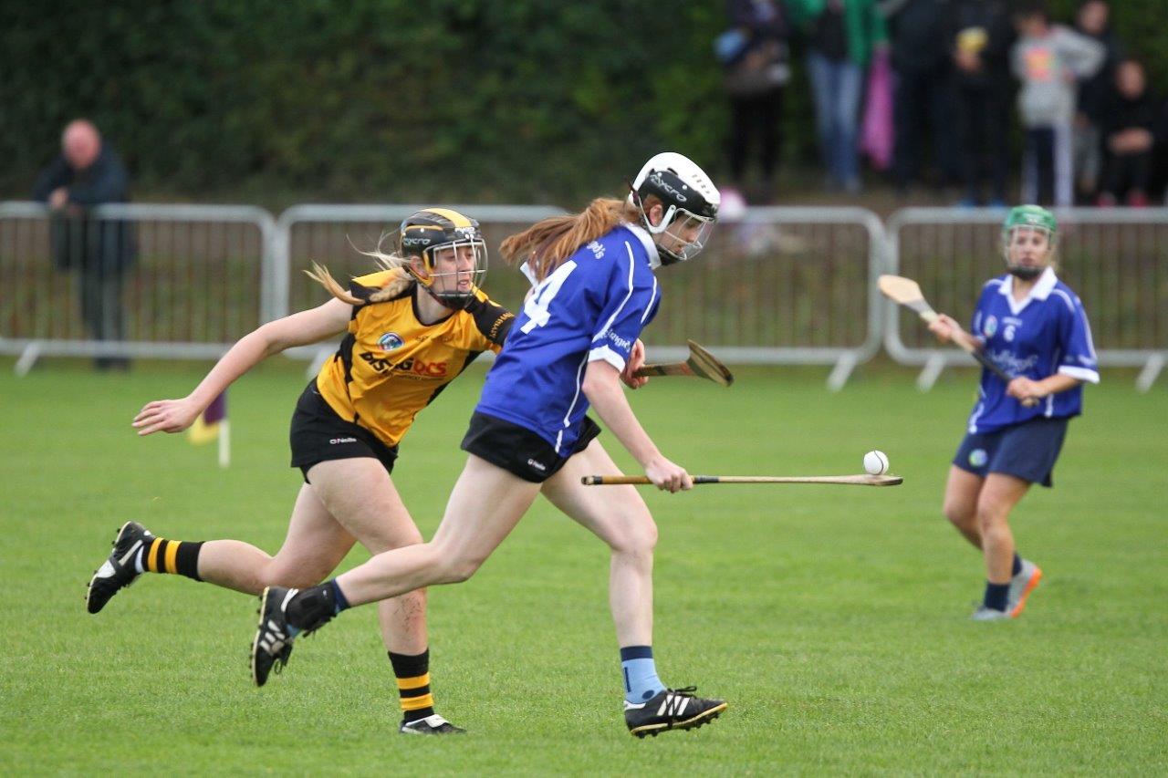 St. Brigids  (Kilkenny) win All Ireland Camogies 7s Shield Shield Final