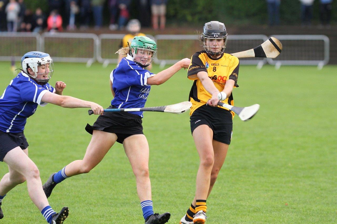 St. Brigids  (Kilkenny) win All Ireland Camogies 7s Shield Shield Final