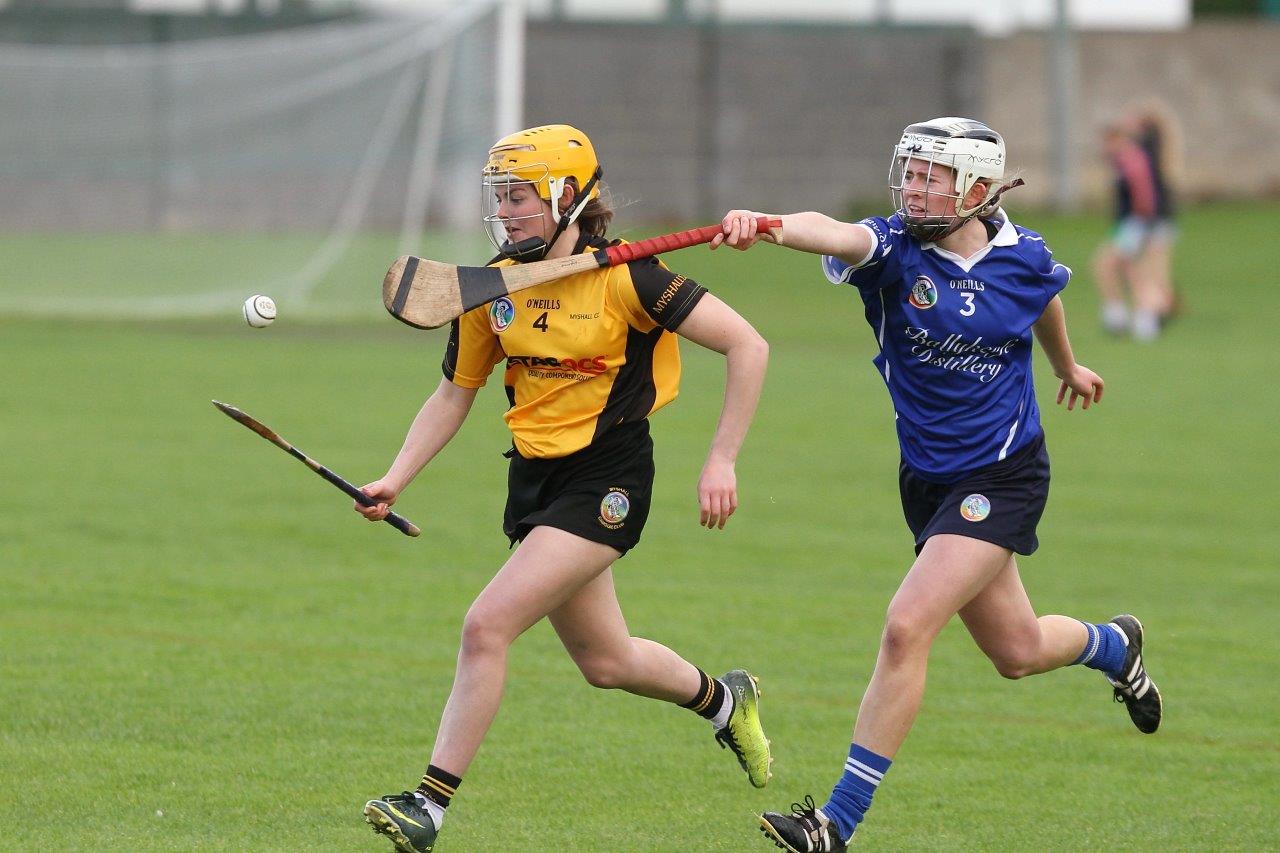 St. Brigids  (Kilkenny) win All Ireland Camogies 7s Shield Shield Final