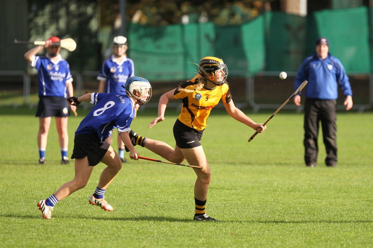 St. Brigids  (Kilkenny) win All Ireland Camogies 7s Shield Shield Final