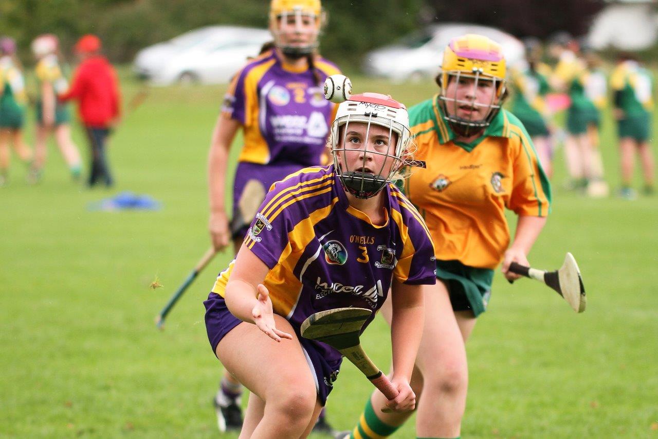 All Ireland Camogie 7s - Photos