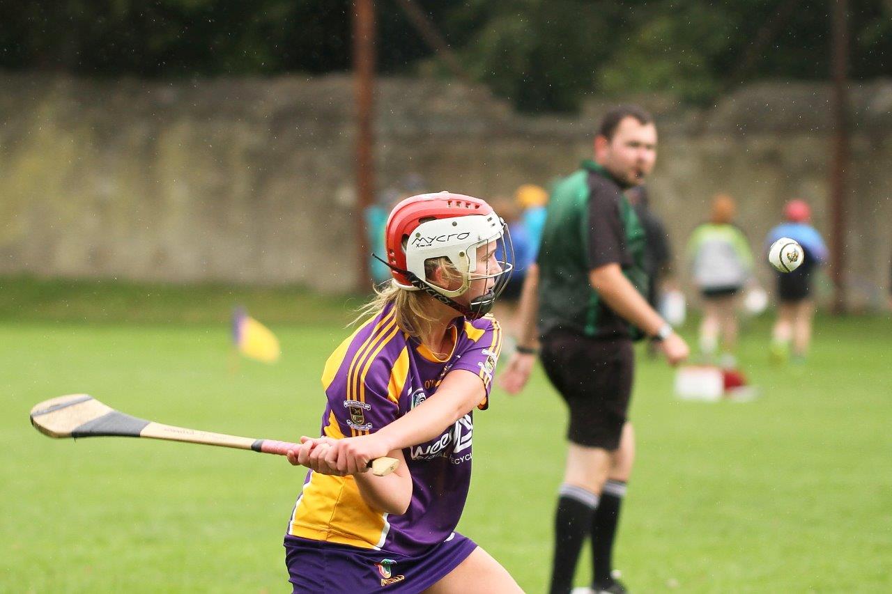 All Ireland Camogie 7s - Photos