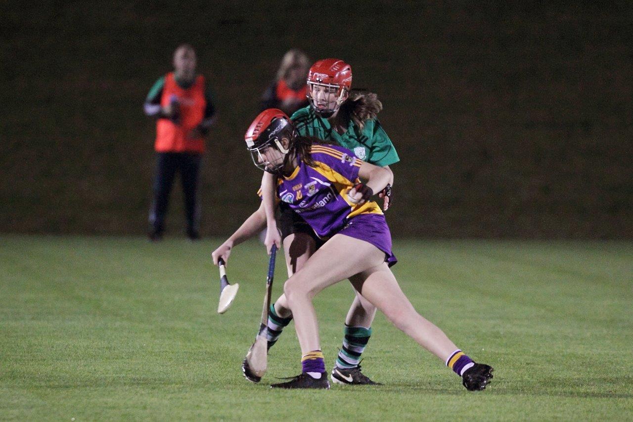 Ladies lose out to Lucan in Championship Final