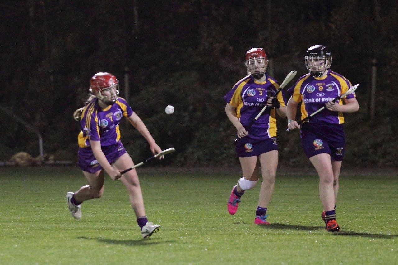 Ladies lose out to Lucan in Championship Final