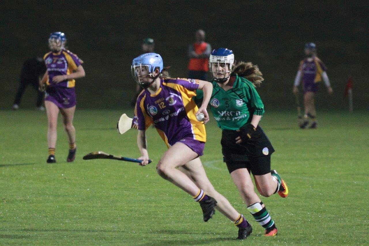 Ladies lose out to Lucan in Championship Final