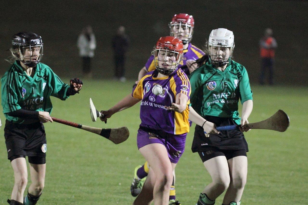 Ladies lose out to Lucan in Championship Final