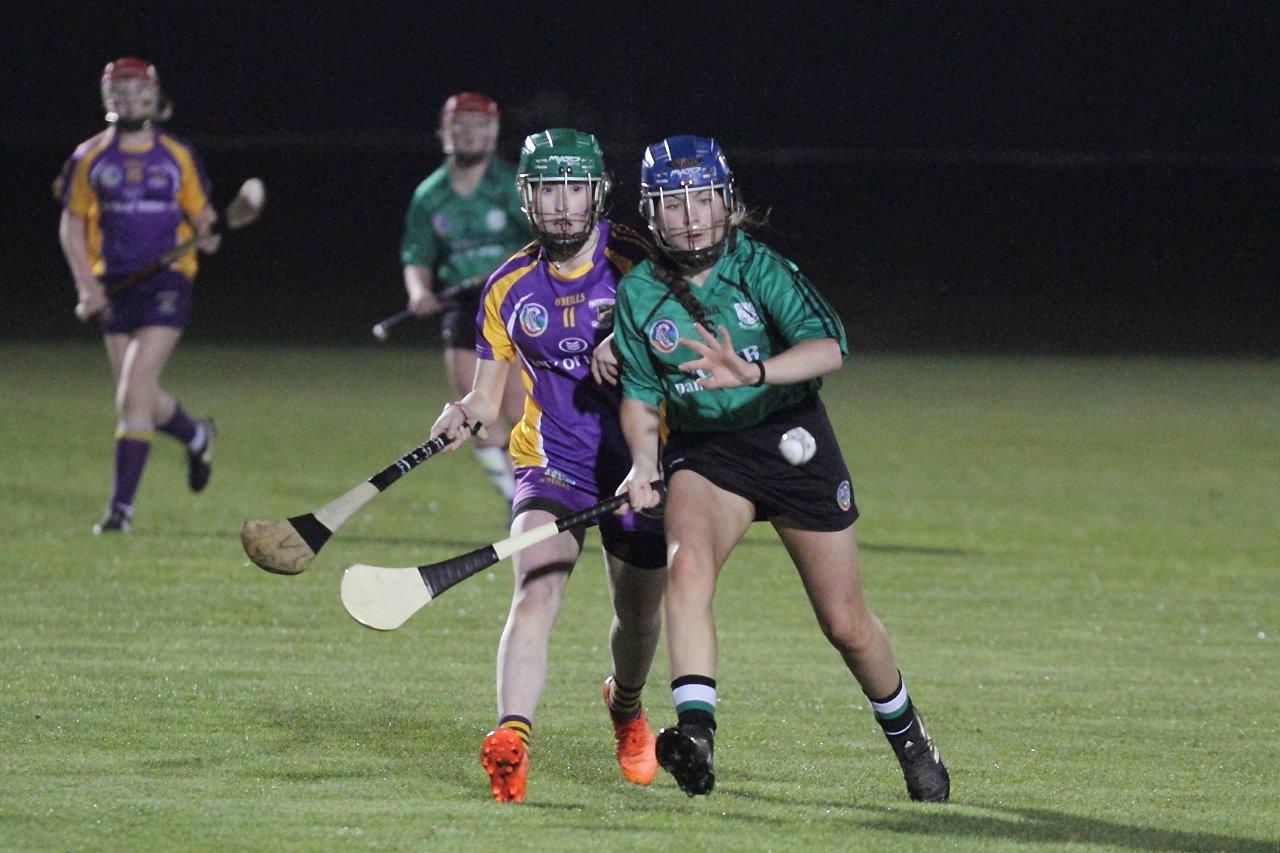 Ladies lose out to Lucan in Championship Final