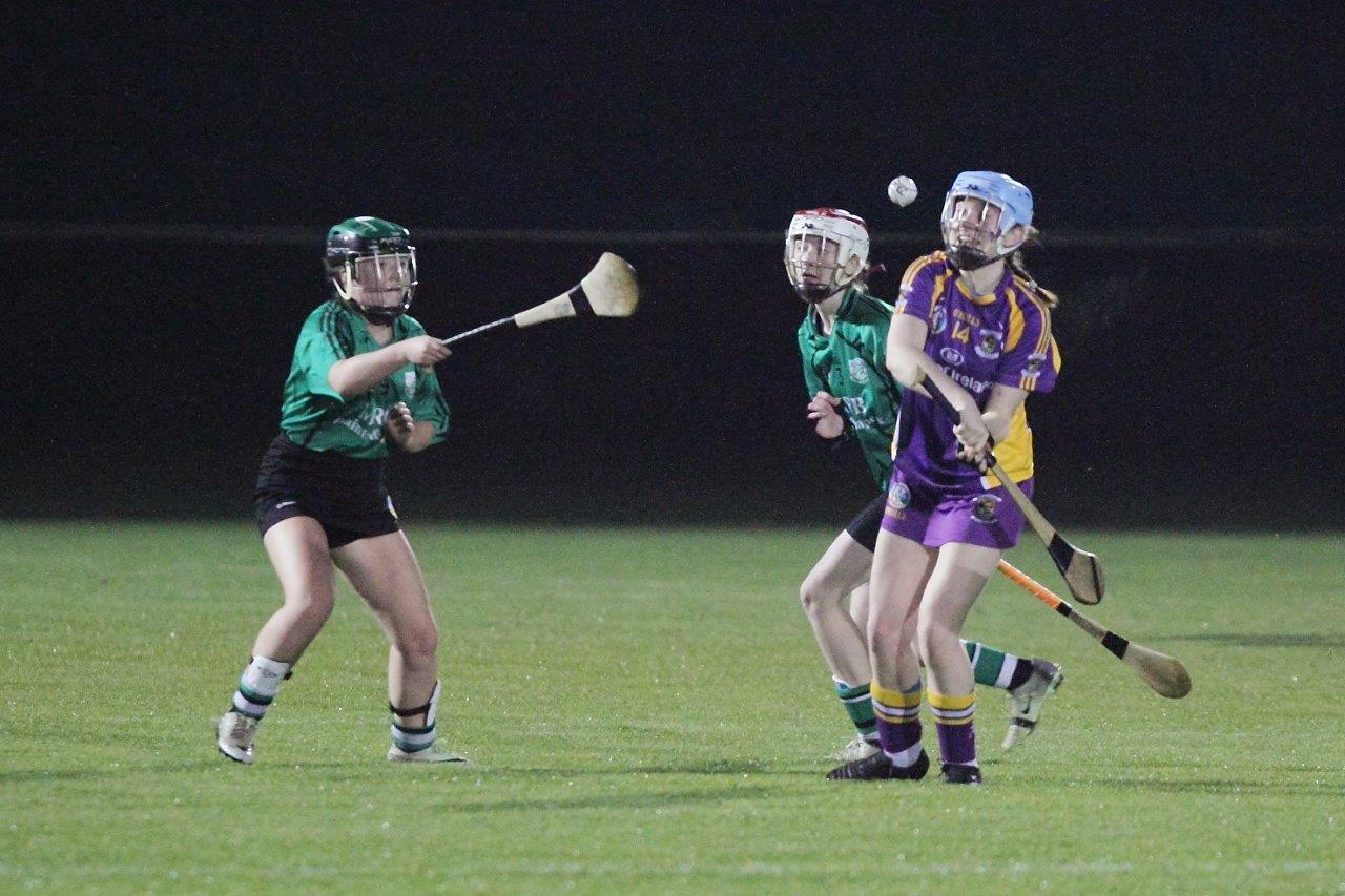 Ladies lose out to Lucan in Championship Final