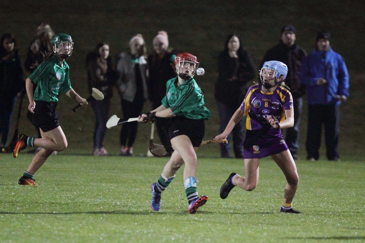 Ladies lose out to Lucan in Championship Final