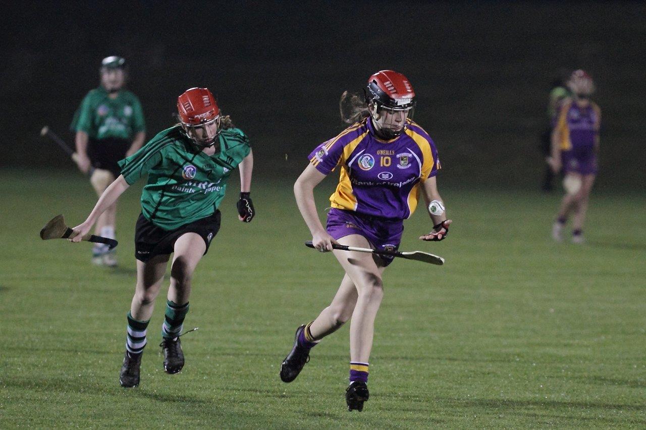 Ladies lose out to Lucan in Championship Final