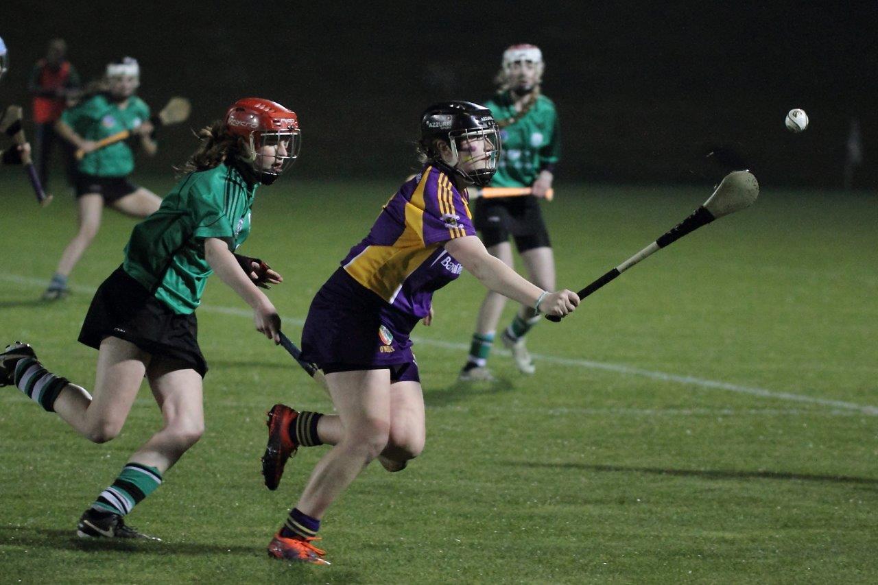 Ladies lose out to Lucan in Championship Final