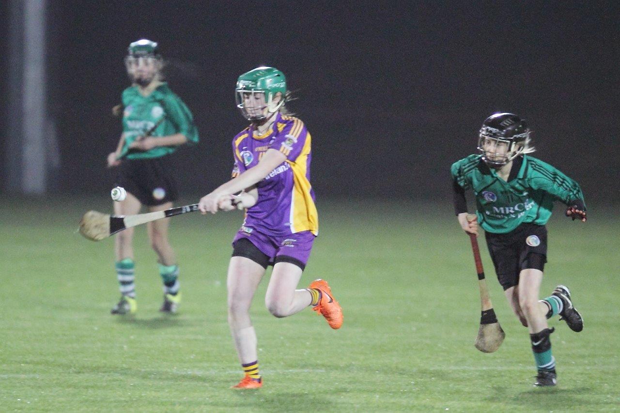 Ladies lose out to Lucan in Championship Final