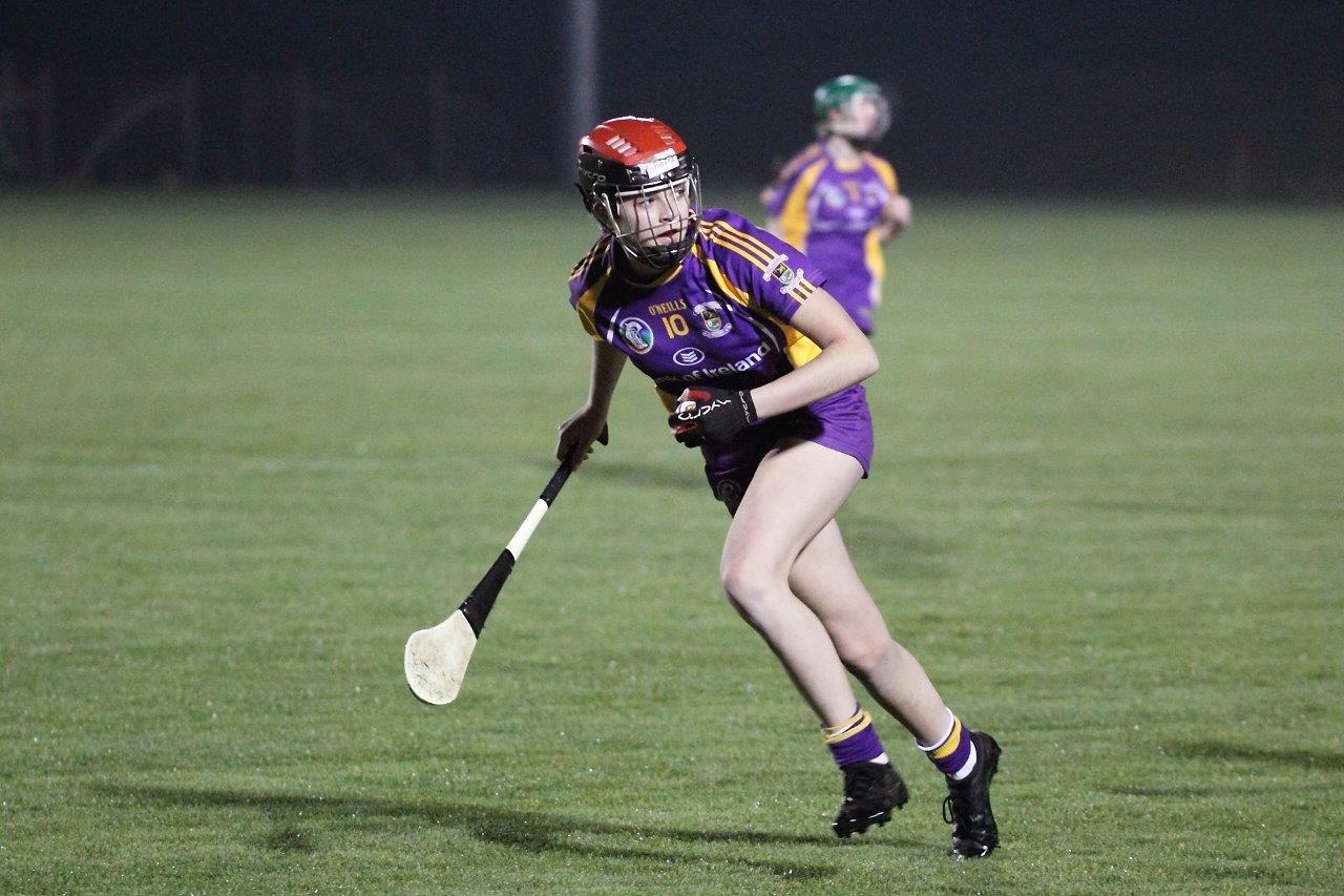 Ladies lose out to Lucan in Championship Final