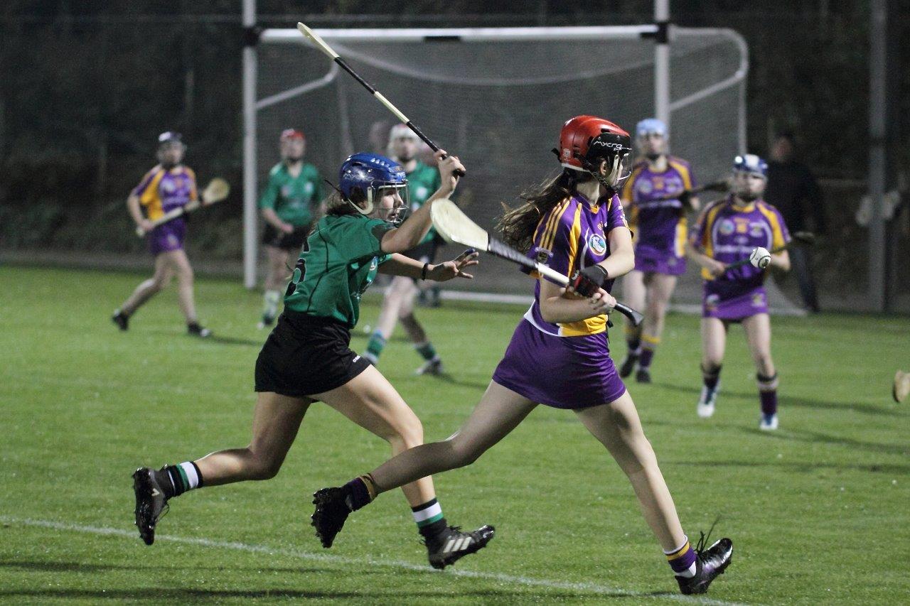 Ladies lose out to Lucan in Championship Final