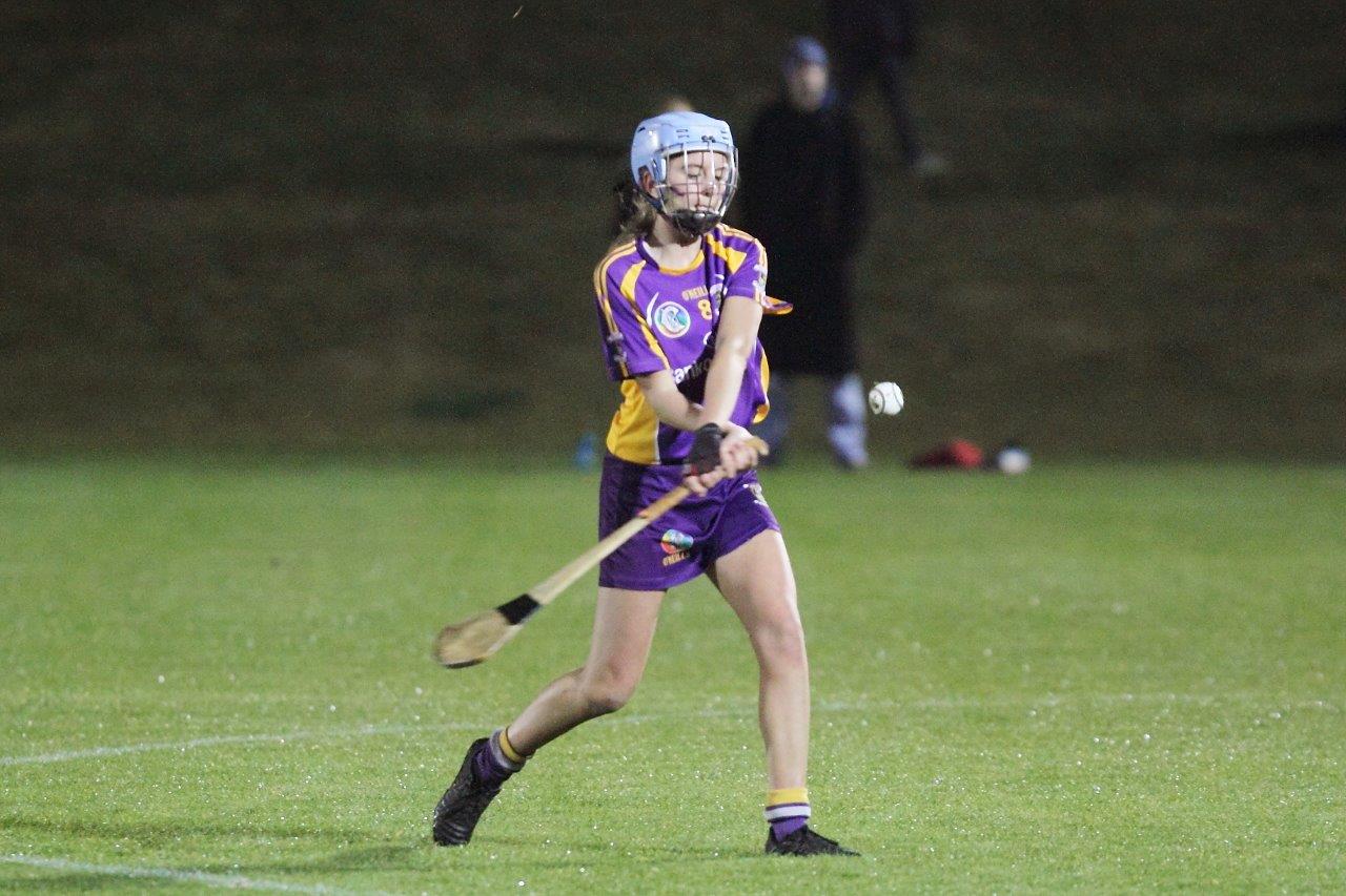 Ladies lose out to Lucan in Championship Final