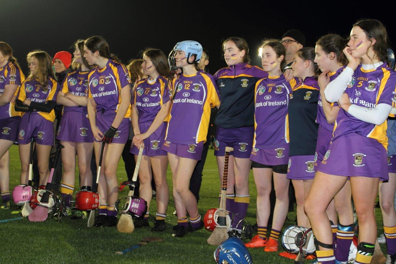 Ladies lose out to Lucan in Championship Final