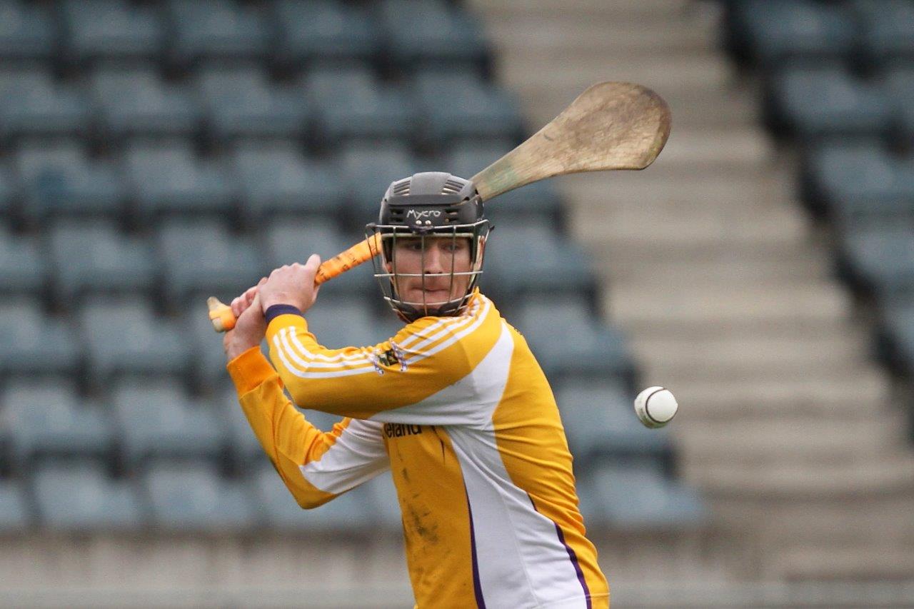 Senior Hurlers beaten by Cuala in Final