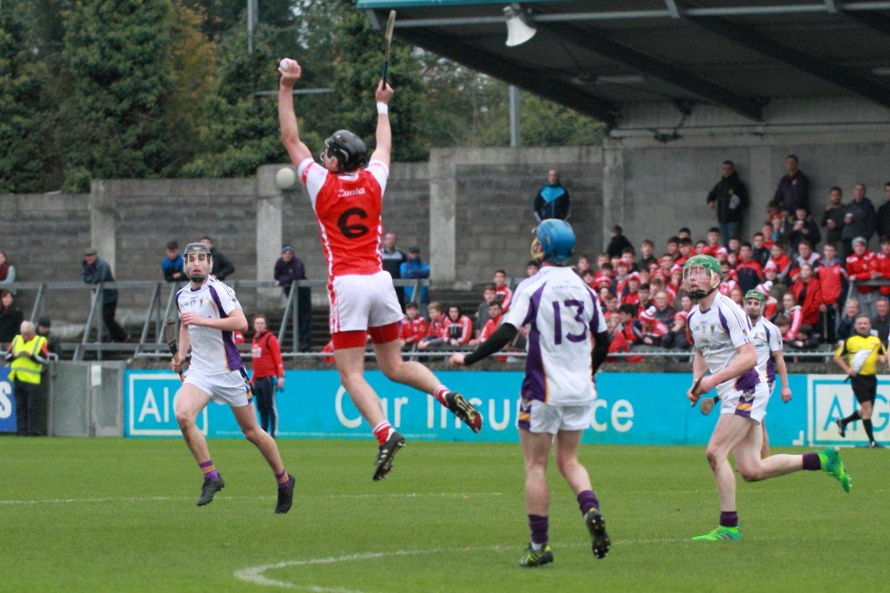 Senior Hurlers beaten by Cuala in Final