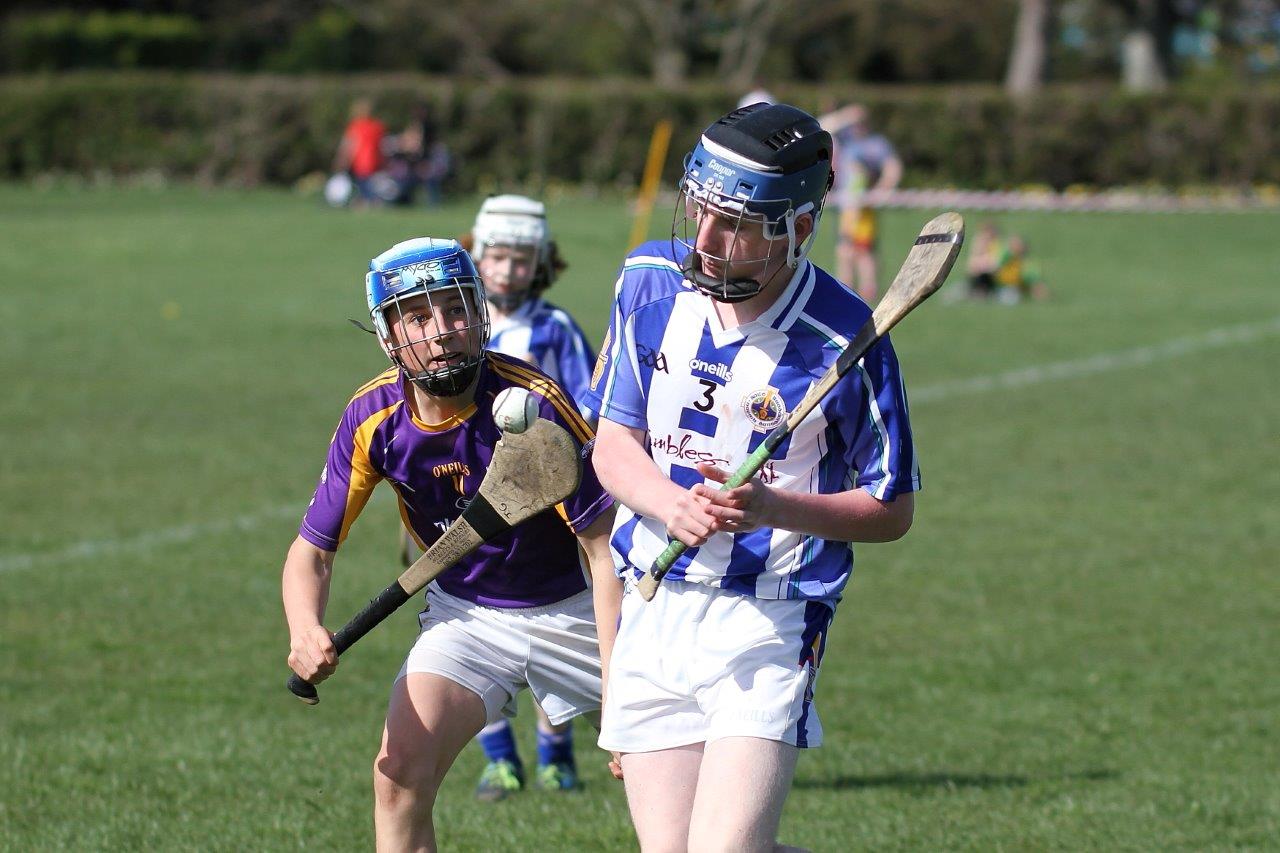 Hurling Féile Photos