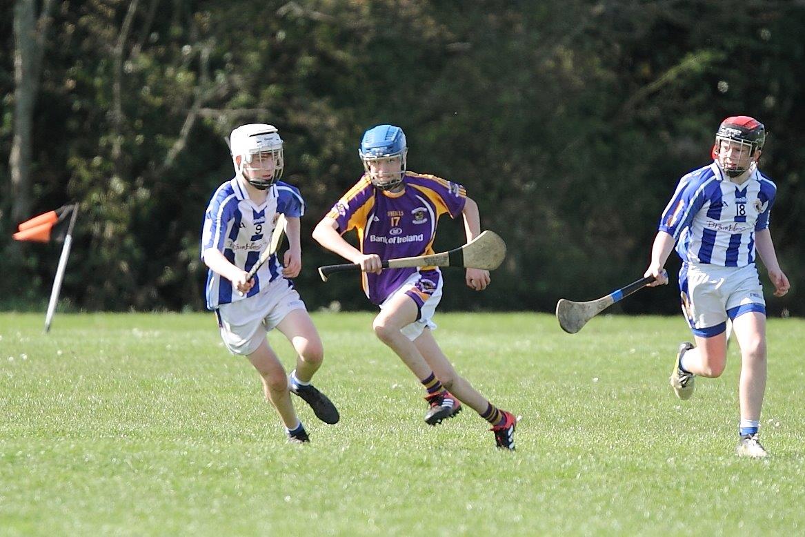 Hurling Féile Photos