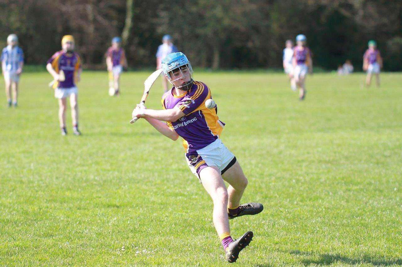 Hurling Féile Photos