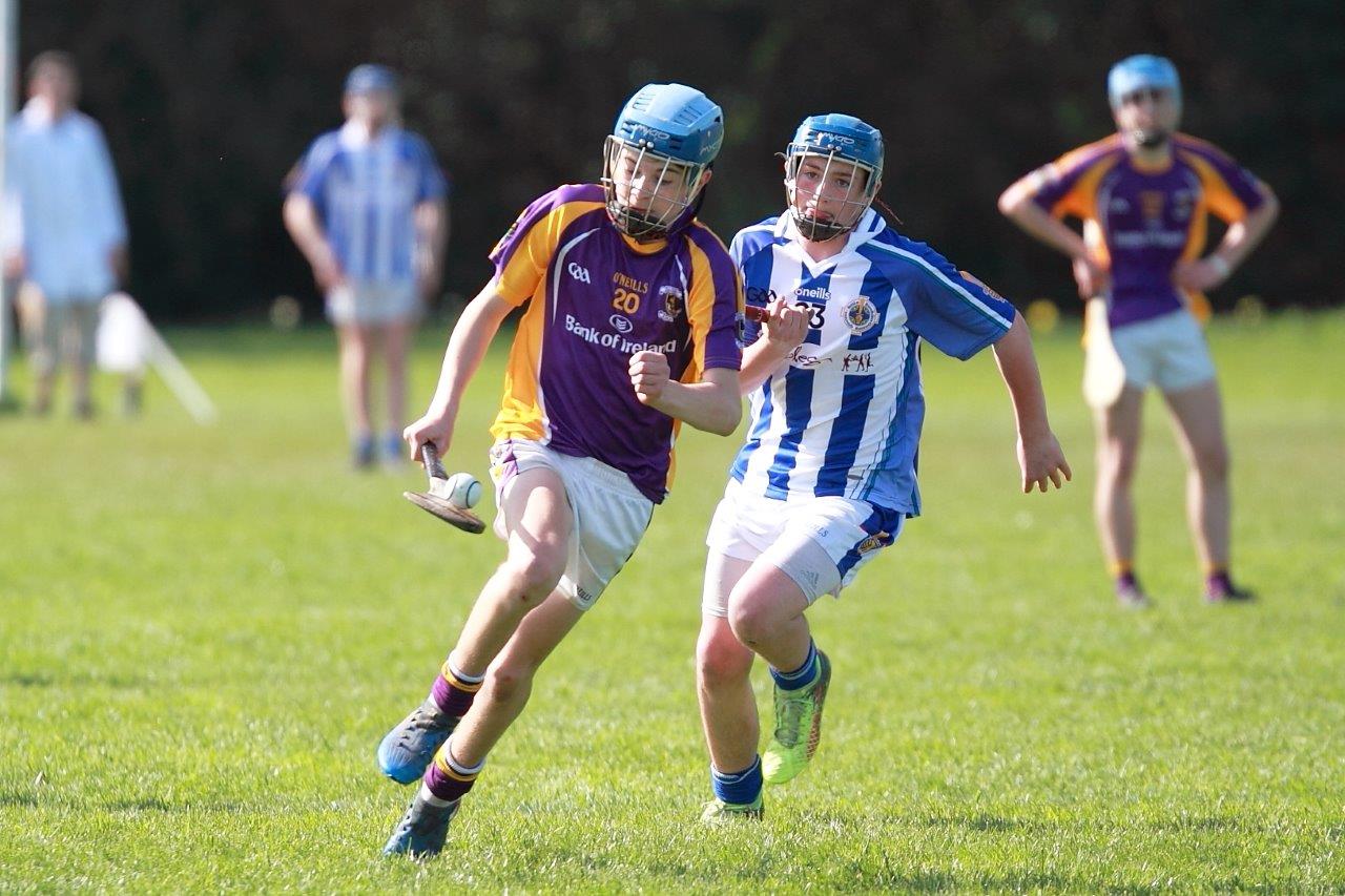 Hurling Féile Photos