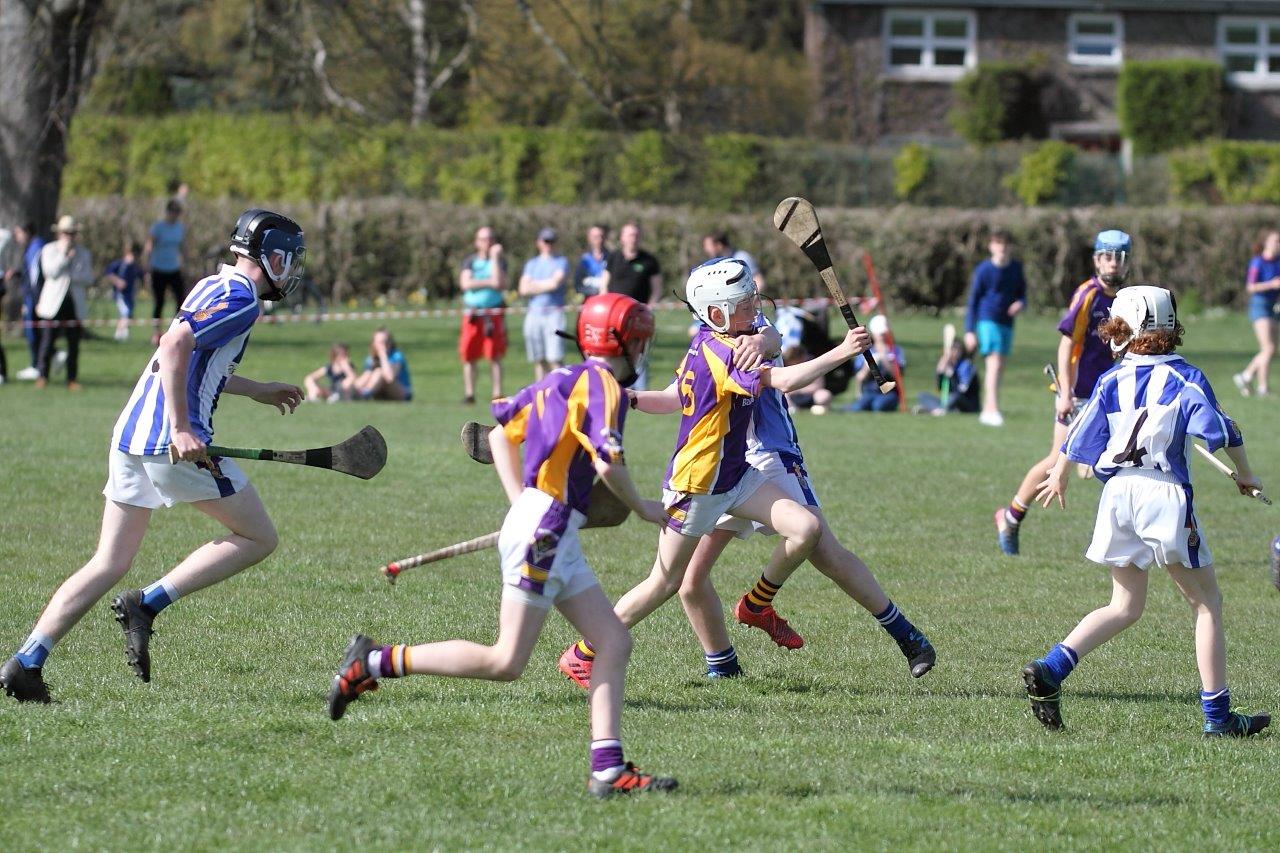 Hurling Féile Photos