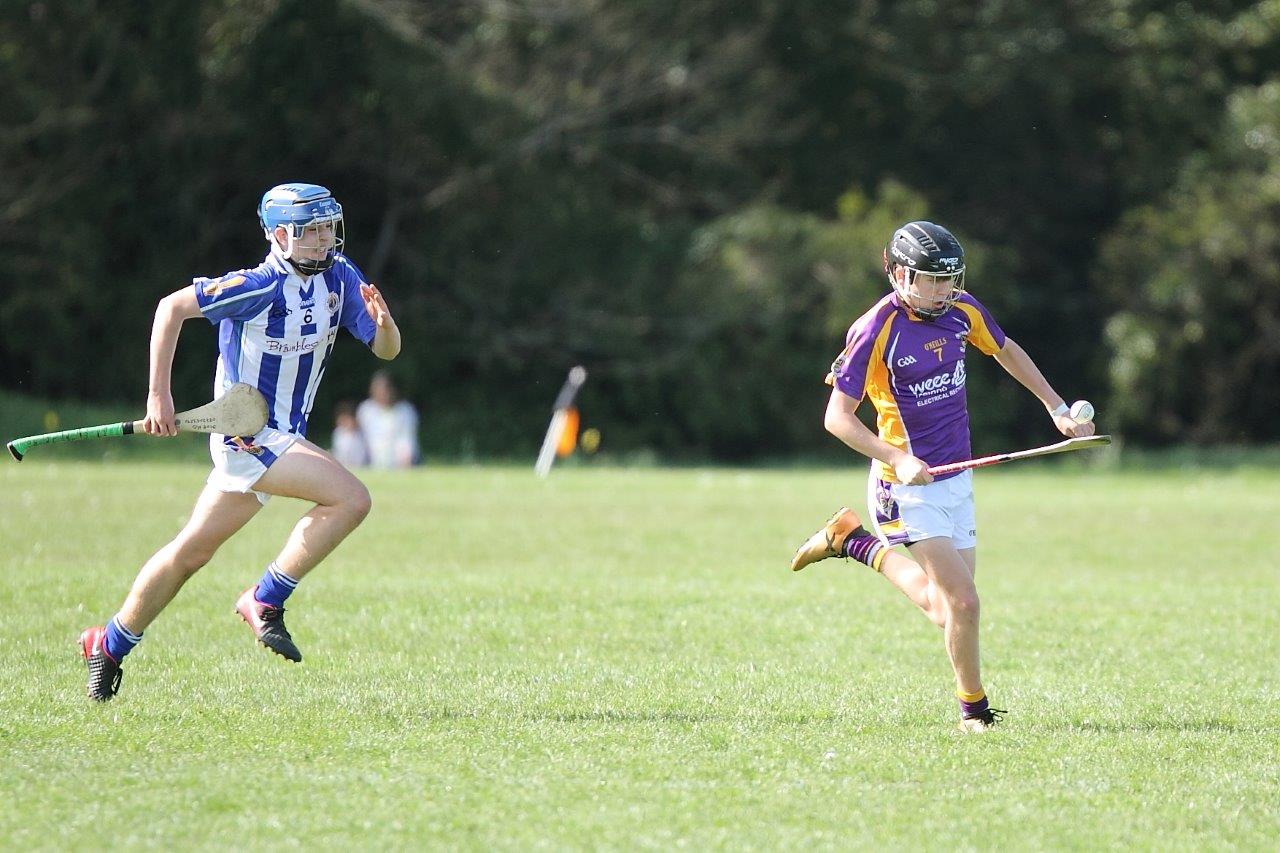 Hurling Féile Photos