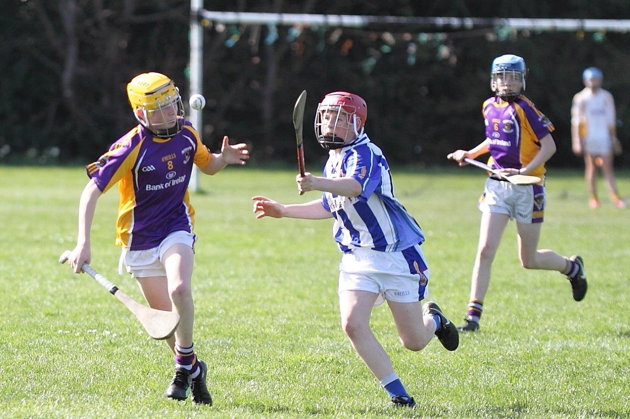 Hurling Féile Photos