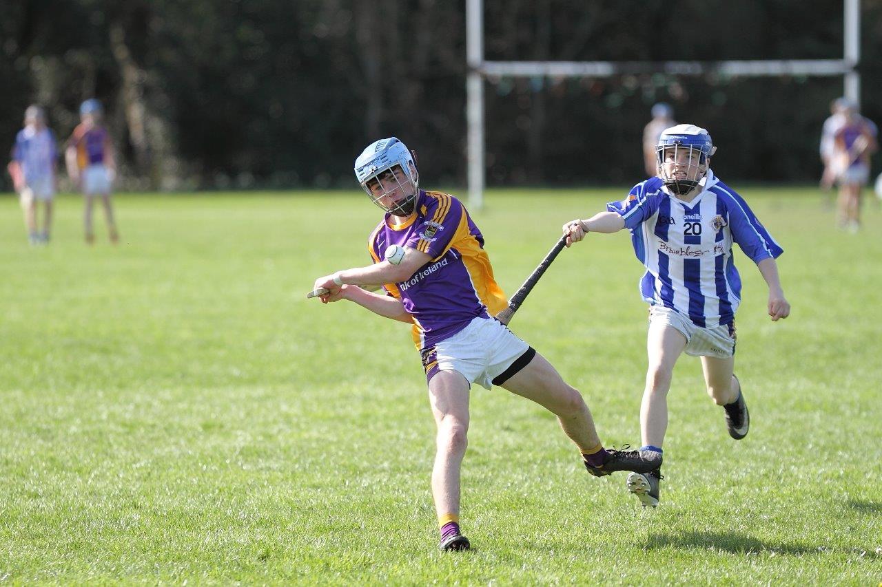 Hurling Féile Photos