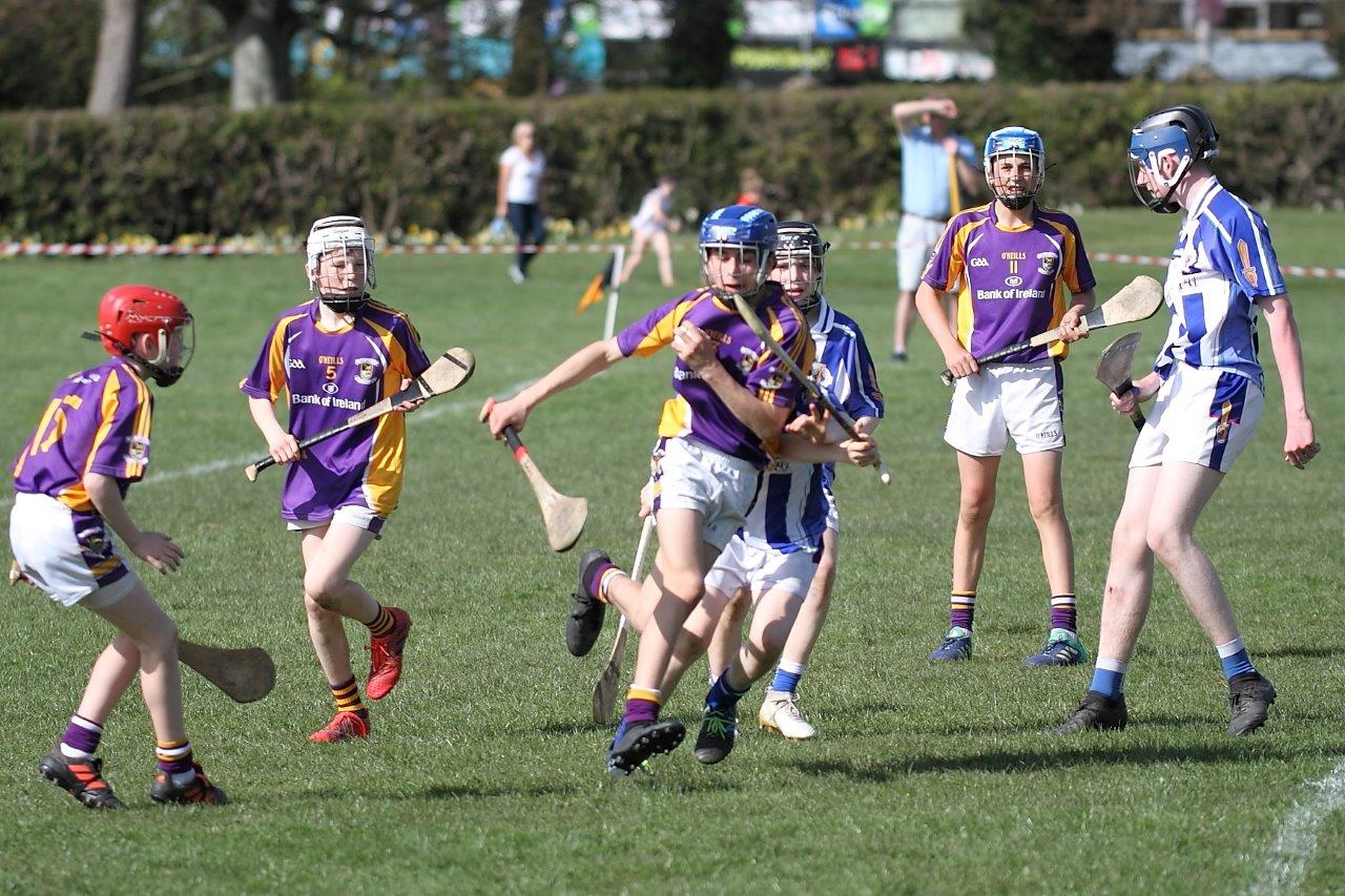 Hurling Féile Photos