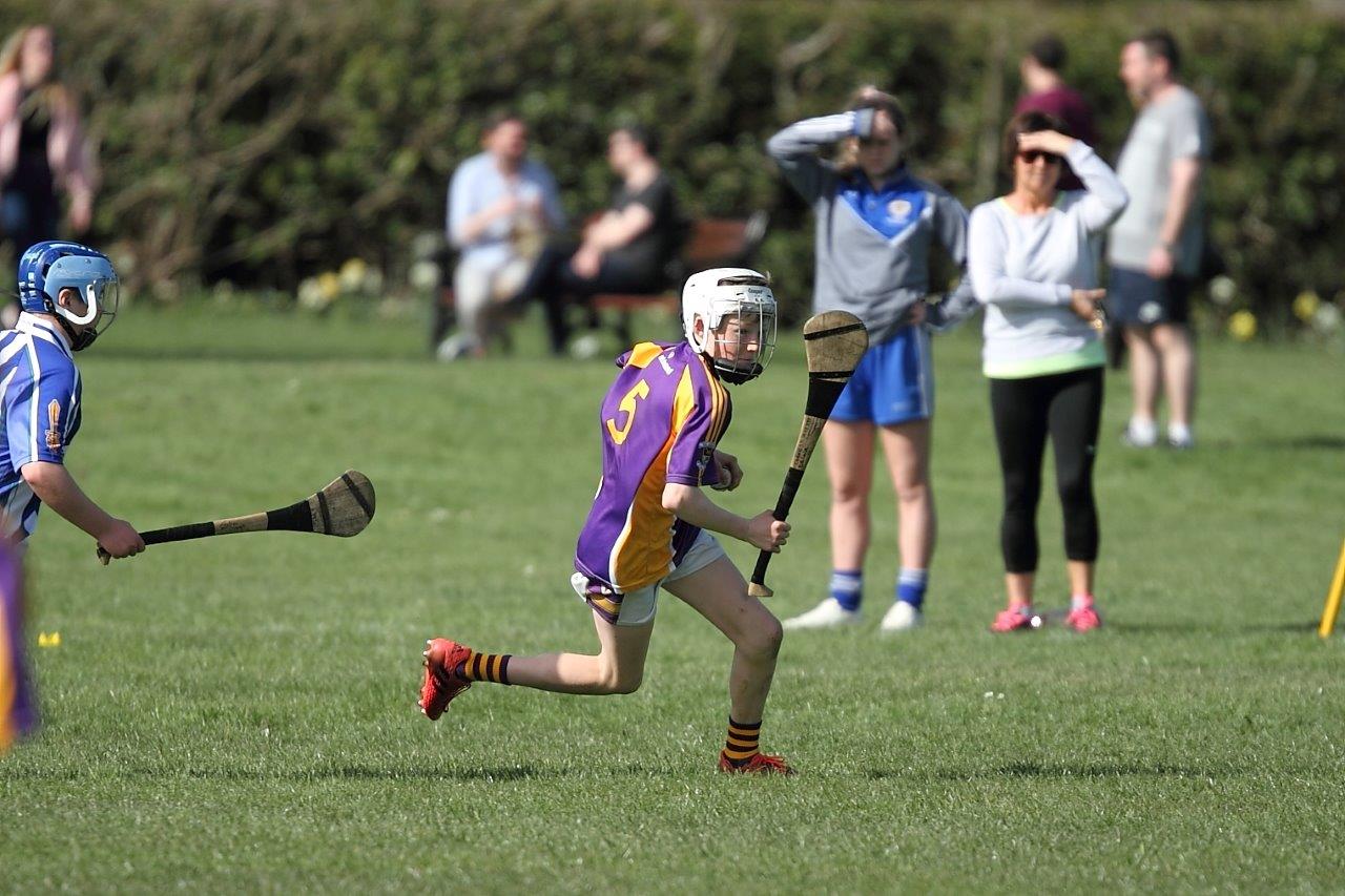 Hurling Féile Photos