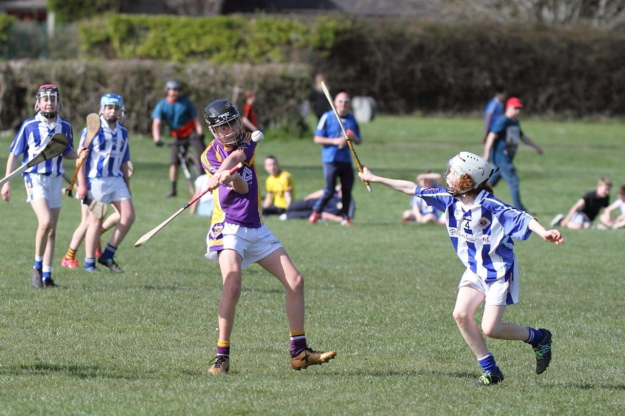 Hurling Féile Photos